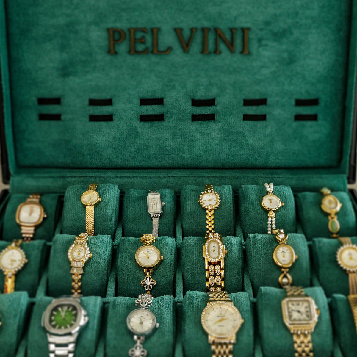 Pelvani Clara’s Handpicked 18 Beauties