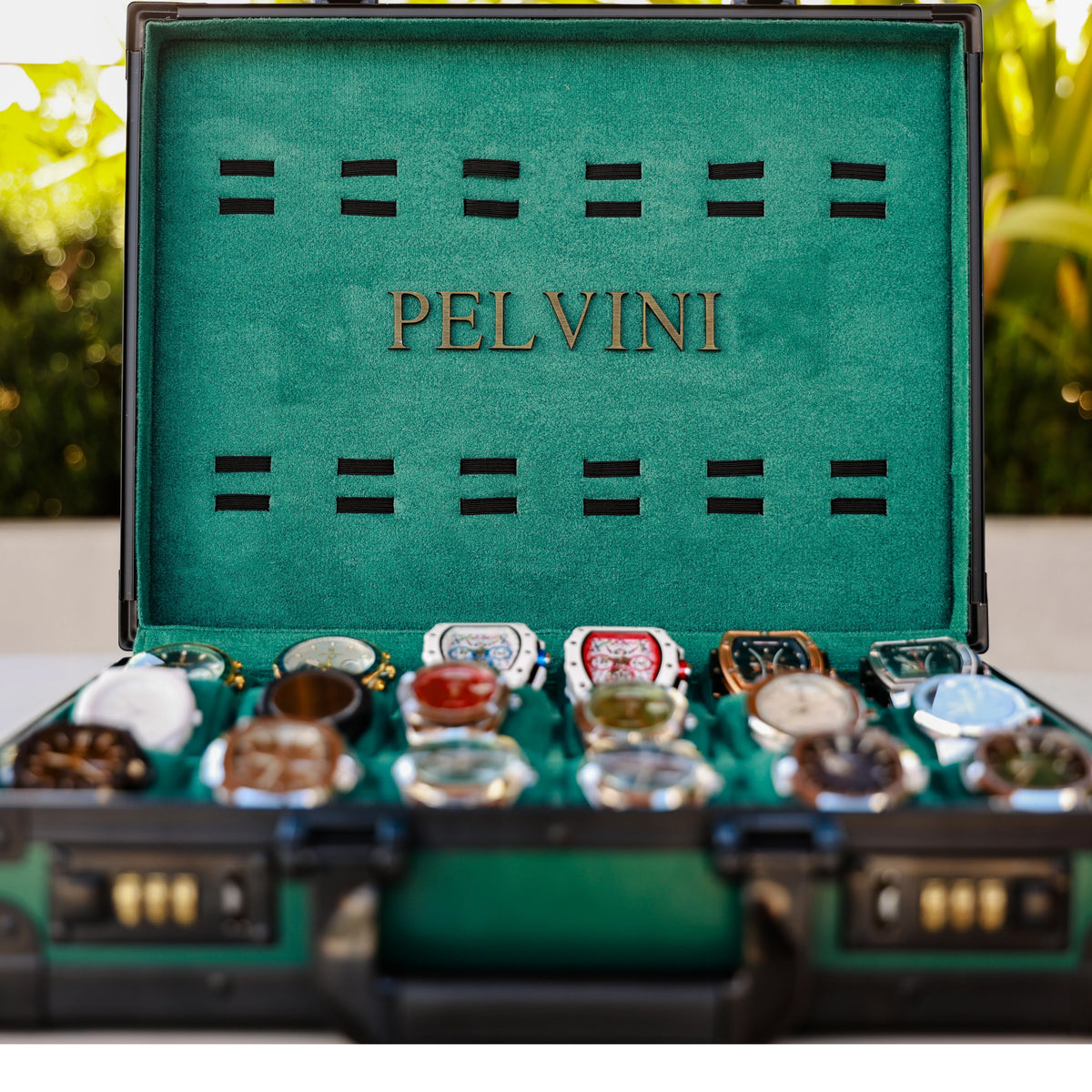 Pelvani Antonio's Handpicked 18 Masterpieces